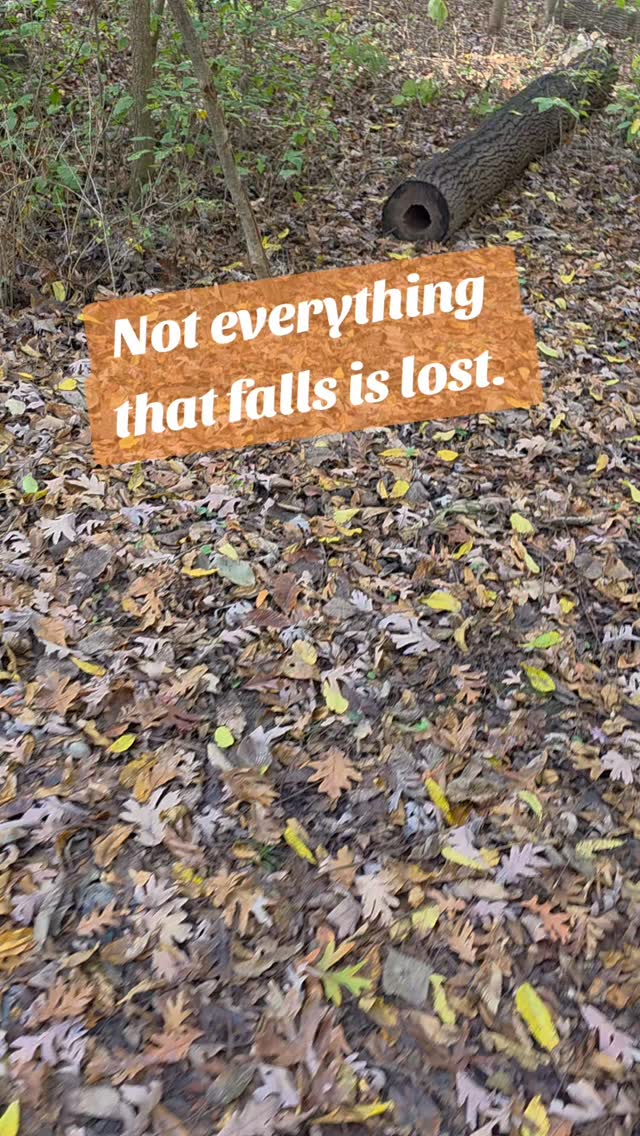 Not Everything That Falls Is Lost

There’s something about walking through the woods in fall that always slows me down.
The air feels softer, the light shifts, and everything around me seems to whisper — it’s okay to let go. 

The forest doesn’t see falling leaves as failure.
It knows it’s just part of the cycle — releasing what’s no longer needed to make room for what’s next.

And maybe that’s exactly what midlife is too.
A season of release.
Of learning to loosen our grip on what we thought life should look like,
so we can open our hands to what’s actually meant for us.

Not everything that falls is lost.
Some things fall so that new strength, peace, and purpose can take root. 

So if this season feels like change — breathe.
You’re not falling apart. You’re making room for what’s next. 💛