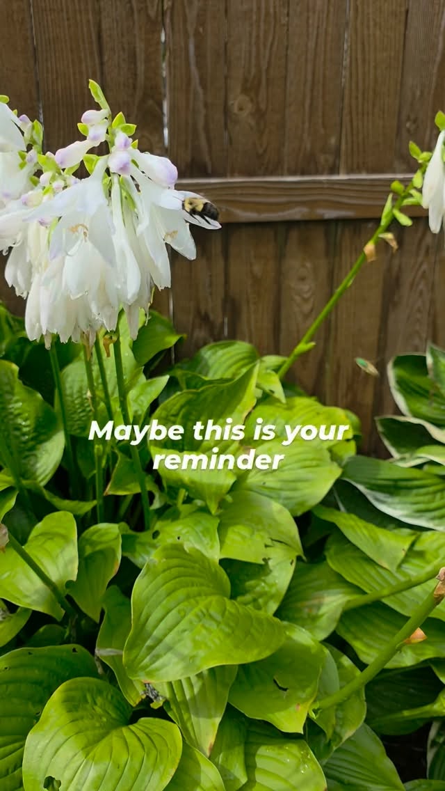 We spend so much time thinking about what's next that sometimes we forget to notice what's happening right now.

A little sunshine.
A beautiful flower.
A quiet moment.

Nothing extraordinary.
Just a reminder that the little things really do matter. 

What’s one little thing that made you smile today?