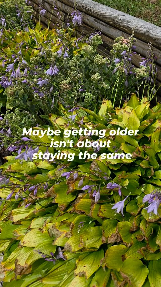 I've been thinking about this lately…

Some flowers are still blooming.
Some are starting to fade.
And honestly, I think there's something beautiful about both.

Maybe life is like that, too.

We don't have to stay exactly who we were.
We don't have to fight every change.
We get to grow, change, let go, and appreciate the season we're in.

There's still so much ahead. 🍂💛

If you're in your 50s or beyond, what are you learning to appreciate more in this season of life?
